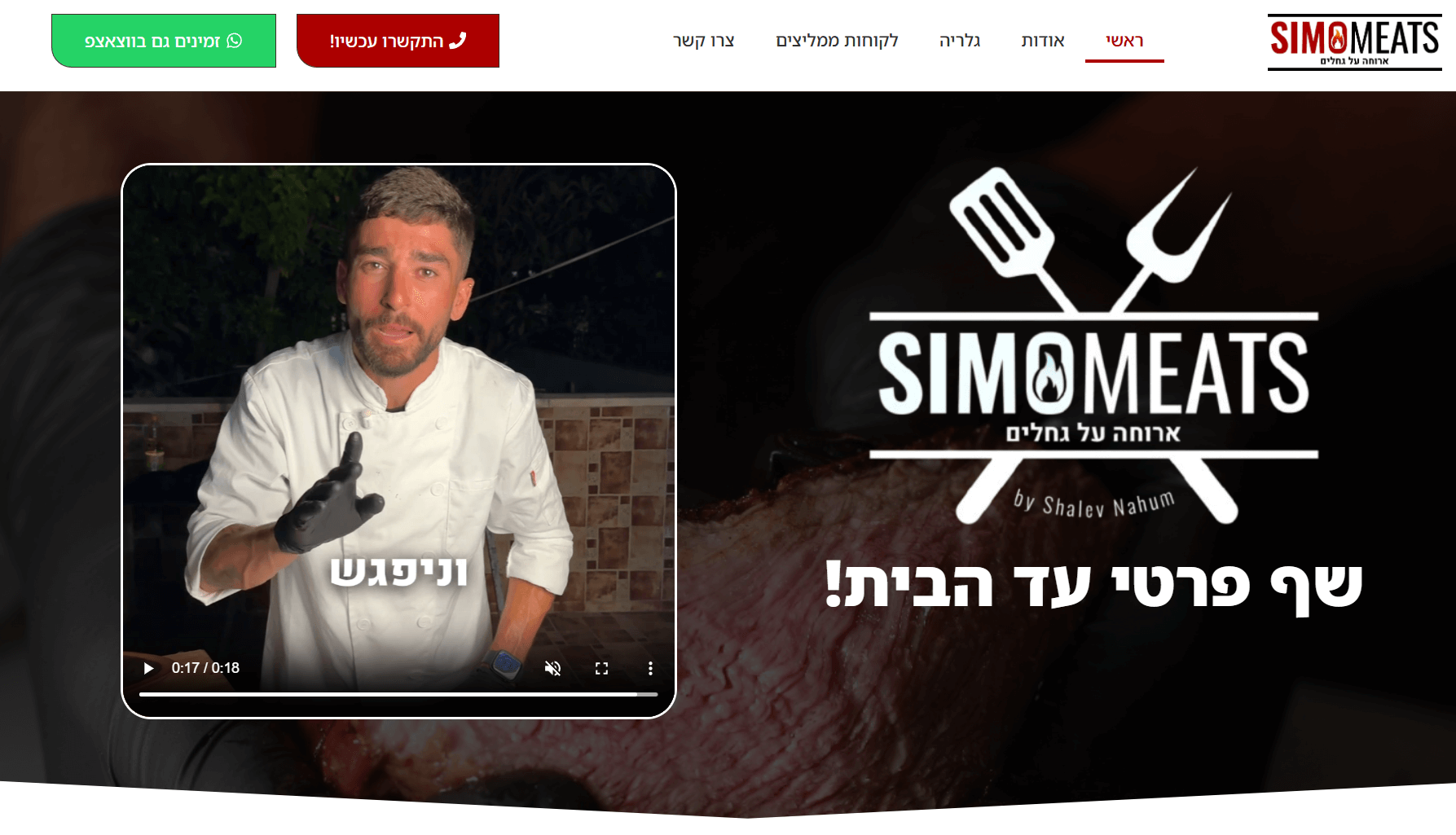 סימו מיטס - שער האתר
