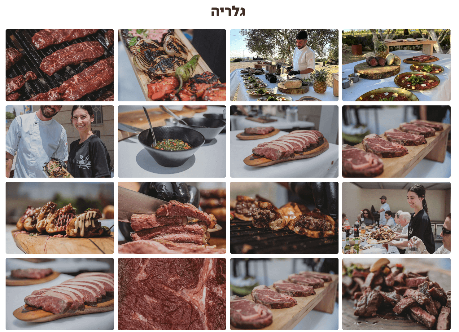 סימו מיטס - גלריה